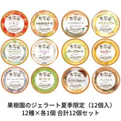果樹園のジェラート夏季限定(12個入) [12種×各1個] 合計12個セット【017S034】