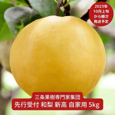 先行受付 和梨 新高 自家用 5kg 2023年発送予定 [三条果樹専門家集団]【010P060】