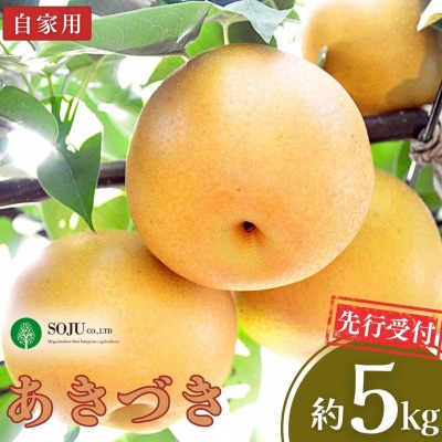 先行受付 和梨 あきづき 自家用 5kg [三条果樹専門家集団] 【010P063】