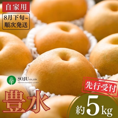 先行受付 和梨 豊水 自家用 5kg  [8月下旬から発送予定] 【010P055】