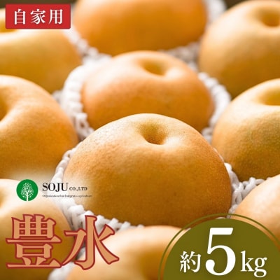 和梨 豊水 自家用 5kg  [三条果樹専門家集団] 【010P055】