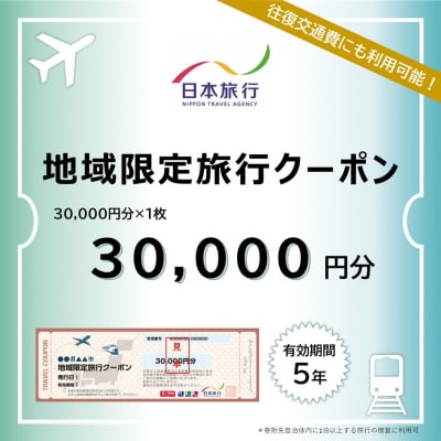 [新潟県三条市] 地域限定旅行クーポン 30,000円分 日本旅行 【100S002】