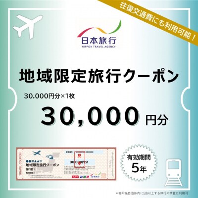 [新潟県三条市] 地域限定旅行クーポン 30,000円分 日本旅行 【100S002】