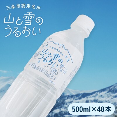 ナチュラルミネラルウォーター 山と雪のうるおい 500ml×48本 軟水【014S061】