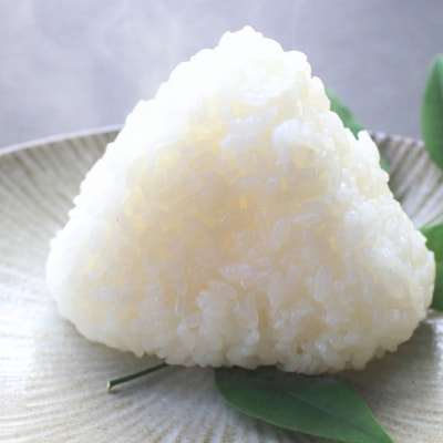 無洗米 コシヒカリ 6kg(2kg×3) 新潟県三条市産 [外山敏雄商店]【010S361】