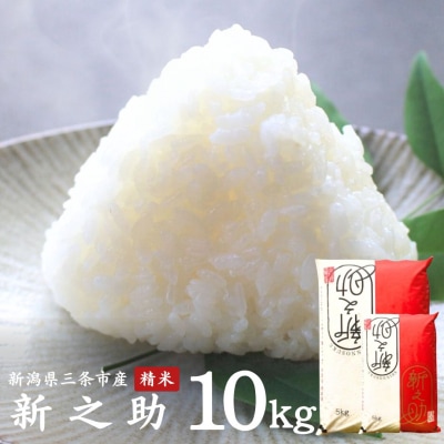 新之助 10kg(5kg×2袋) 新潟県三条市産 令和7年産 [外山敏雄商店]【020S037】