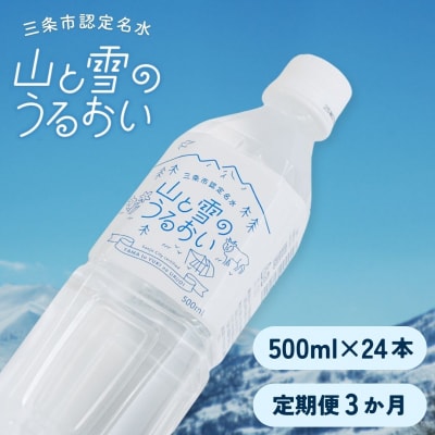 [定期便500ml×24本×3か月]ナチュラルミネラルウォーター 山と雪のうるおい【020S039】