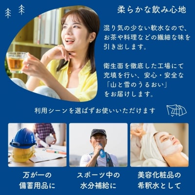 [定期便500ml×24本×6か月]ナチュラルミネラルウォーター 山と雪のうるおい【040S014】