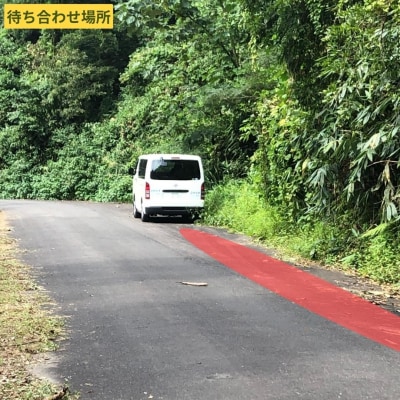 剣謙心バギーツアー45分 2人乗り用 運転手(18歳以上)+同乗者(4歳～10歳)【011S123】