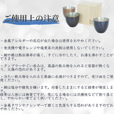 鎚起銅器 ミニタンブラー パイソン・侘青(わびあお)【107S003】