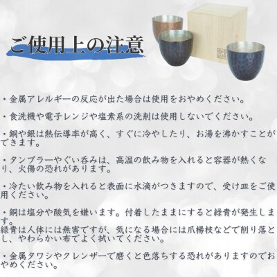 鎚起銅器 ミニタンブラー パイソン・侘青(わびあお)【107S003】