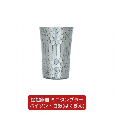 鎚起銅器 ミニタンブラー パイソン・白銀(はくぎん)【107S004】