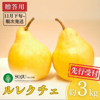 先行受付 ル レクチェ 約3kg [11月下旬から発送予定] ル・レクチェ【016P026】