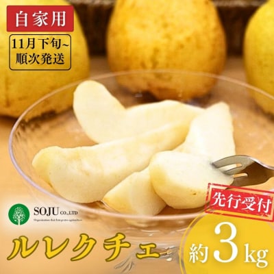先行受付 ル レクチェ 自家用 約3kg JGAP認証農場 ル・レクチェ【010P067】