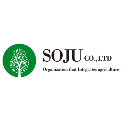 ル レクチェ 自家用 約3kg JGAP認証農場 ル・レクチェ【010P067】