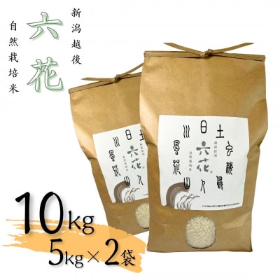 ߘa7NY Vz R͔|ăRVqJ 10kg(5kg×2)ʌy031S010z