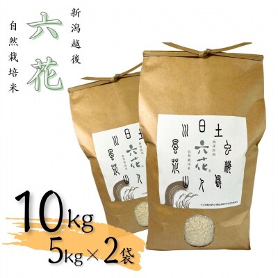 令和7年産米 新潟越後 自然栽培米コシヒカリ 10kg(5kg×2袋)数量限定【031S010】