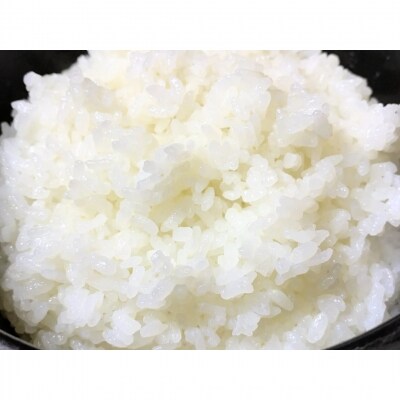 令和7年産米 新潟越後 自然栽培米コシヒカリ 10kg(5kg×2袋)数量限定【031S010】