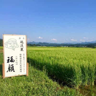純米吟醸 福顔 1800ml×2本 化粧箱 日本酒[福顔酒造]【019S059】