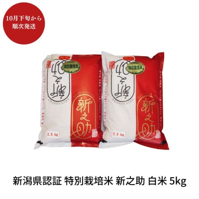 特別栽培米 新之助 5kg  新潟県三条市産 佐藤農産有機センター【010P122】