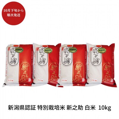 【先行予約】特別栽培米 新之助 10kg  新潟県三条市産 佐藤農産有機センター 【018P072】