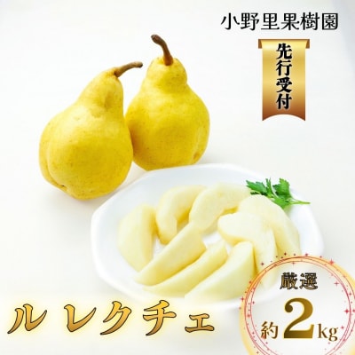 先行受付 ル レクチェ 厳選 約2kg(4～6個) [小野里果樹園]【011S156】