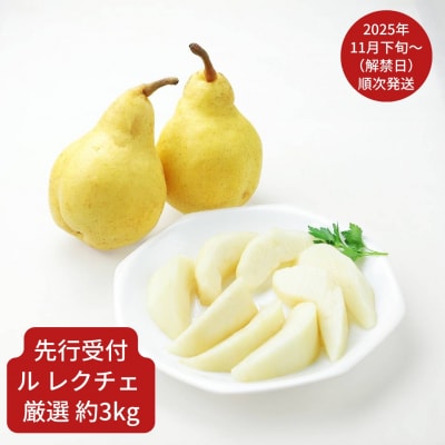 【先行受付】 ル レクチェ 厳選 約3kg(6～9個) [小野里果樹園] 【016S034】