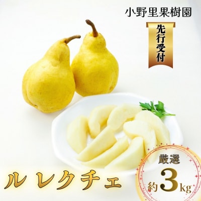 先行受付 ル レクチェ 厳選 約3kg(6～9個) [小野里果樹園] 【016S034】