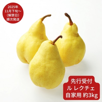 【先行受付】 ル レクチェ 自家用 約3kg(6～9個) [小野里果樹園] 【013S079】