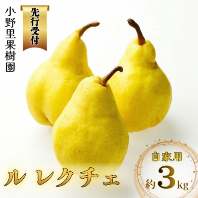 先行受付 ル レクチェ 自家用 約3kg(6～9個) [小野里果樹園] 【013S079】