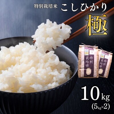 特別栽培米 コシヒカリ「極」10kg (5kg×2袋) 令和8年産 県認証特栽米【024S027】