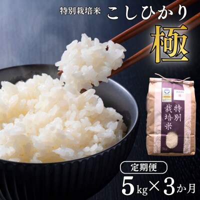 [定期便5kg×3か月] 特別栽培米 コシヒカリ「極」令和8年産こしひかり【035S009】
