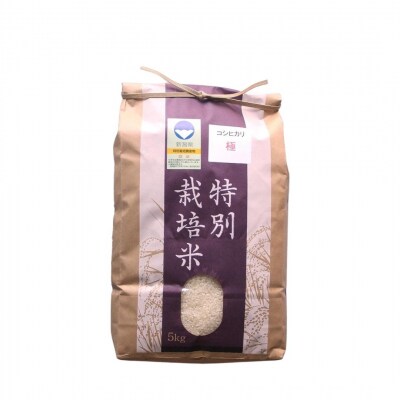 [定期便5kg×3か月] 特別栽培米 コシヒカリ「極」令和7年産こしひかり【035S009】