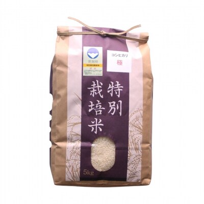 [定期便5kg×3か月] 特別栽培米 コシヒカリ「極」令和8年産こしひかり【035S009】