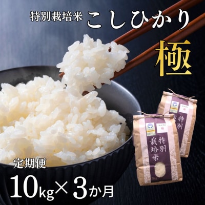 [定期便10kg×3か月] 特別栽培米 コシヒカリ「極」令和7年産こしひかり【070S005】