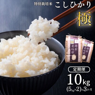 [定期便10kg(5kg×2)×3か月] 特別栽培米 コシヒカリ「極」令和8年産【070S005】