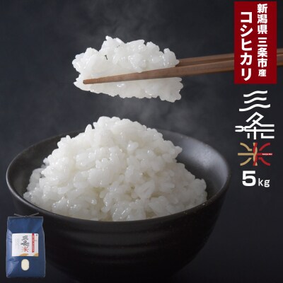 令和7年産米 新潟県三条市産 コシヒカリ 三条米 5kg【010S393】