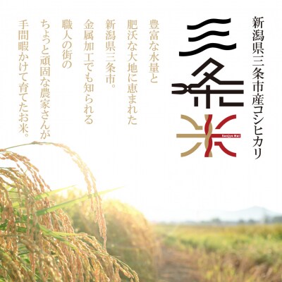 令和7年産米 新潟県三条市産 コシヒカリ 三条米 5kg【010S393】