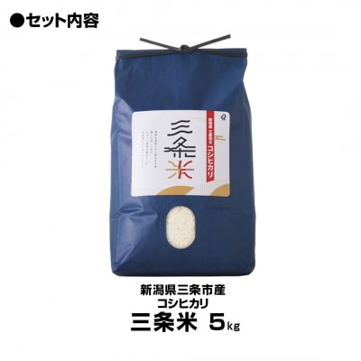 令和7年産米 新潟県三条市産 コシヒカリ 三条米 5kg【010S393】