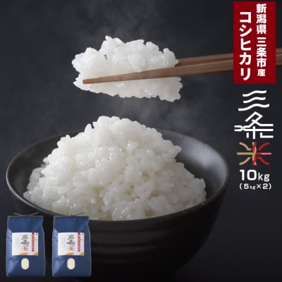 令和7年産米 新潟県三条市産 コシヒカリ 三条米 10kg【016S035】
