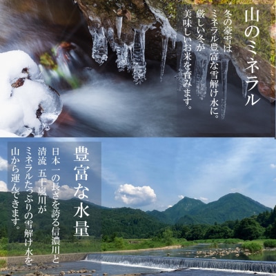 令和7年産米 新潟県三条市産 コシヒカリ 三条米 10kg【016S035】