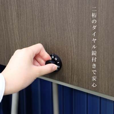 木目調郵便ポストダイヤル錠付き チタングレー 薄型 郵便受け [グリーンライフ] 【022S049】