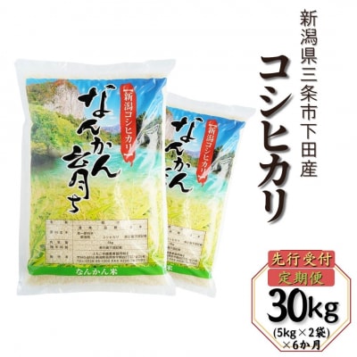 新米 先行受付 [定期便10kg (5kg×2袋) ×3ヶ月] コシヒカリ 新潟県【046S007】