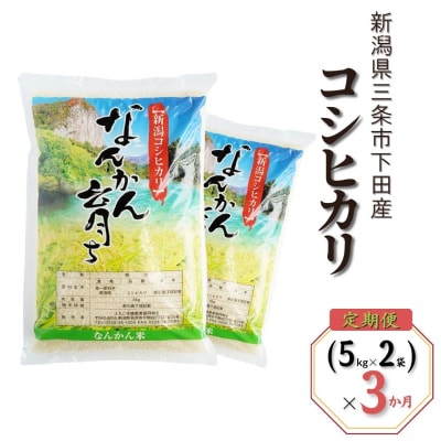 先行受付 [定期便10kg (5kg×2袋) ×3ヶ月] コシヒカリ 新潟県【046S007】