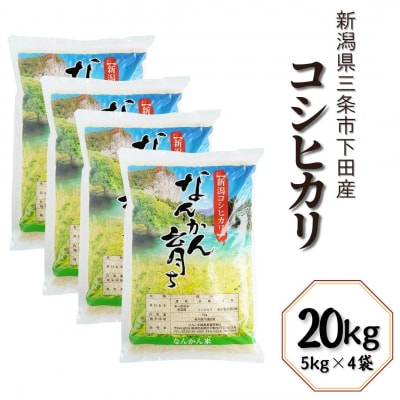 コシヒカリ 20kg (5kg×4袋) 令和7年産 新潟県三条市 【031S012】