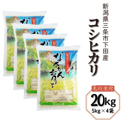 新米 先行受付 コシヒカリ 20kg (5kg×4袋) 令和7年産 新潟県三条市 【031S012】