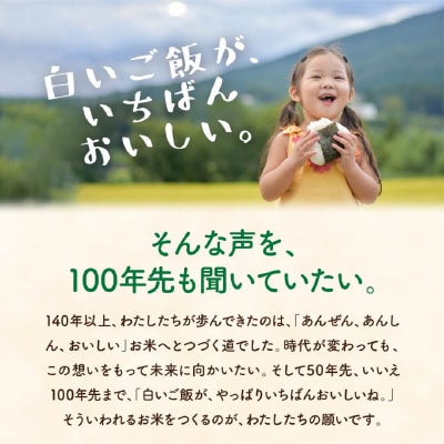 新潟県産 新之助 5kg しんのすけ 令和7年産 [株式会社白熊]【010S370】