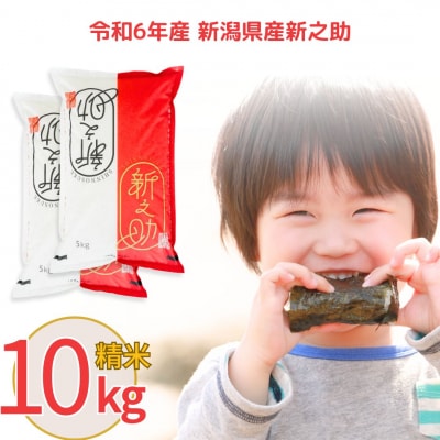 新潟県産 新之助 10kg しんのすけ 令和6年産 [株式会社白熊]【018S042】