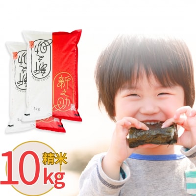 新潟県産 新之助 10kg しんのすけ 令和7年産 [株式会社白熊]【018S042】