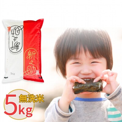 新潟県産 無洗米 新之助 5kg しんのすけ 令和7年産 [株式会社白熊]【010S371】